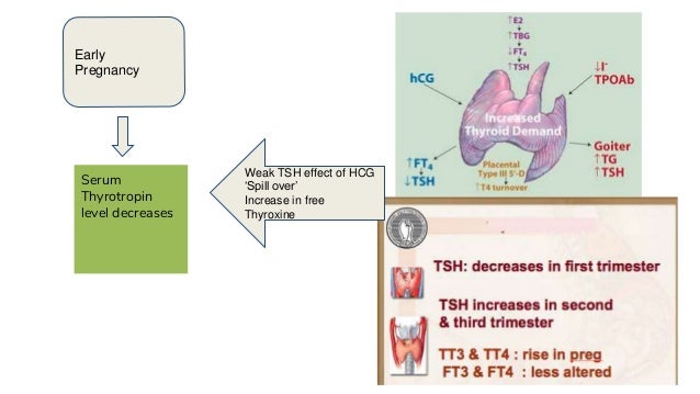 Thyroid Cancer: A Case-Based Approach